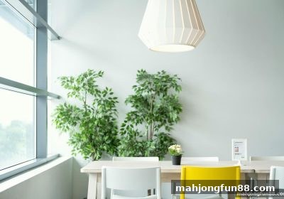 百家乐新手入门与实战玩法：麻将胡了试玩带你深度剖析