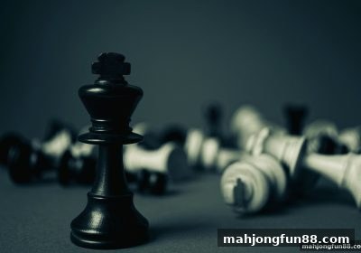 麻将胡了试玩深度解析：幸运飞艇术语全攻略，从入门到精通