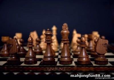 德州扑克入门与进阶指南：麻将胡了试玩体验解读