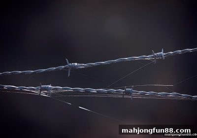 麻将胡了试玩视角：天博体育财务透明度全链路拆解与用户决策指南